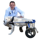 Dr. James and Walkin Wheels