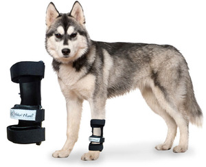Carpal splint for pets