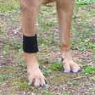 Wrist Wrap for Carpal Support for Dog